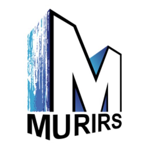 MURIRS, les murales de Sherbrooke